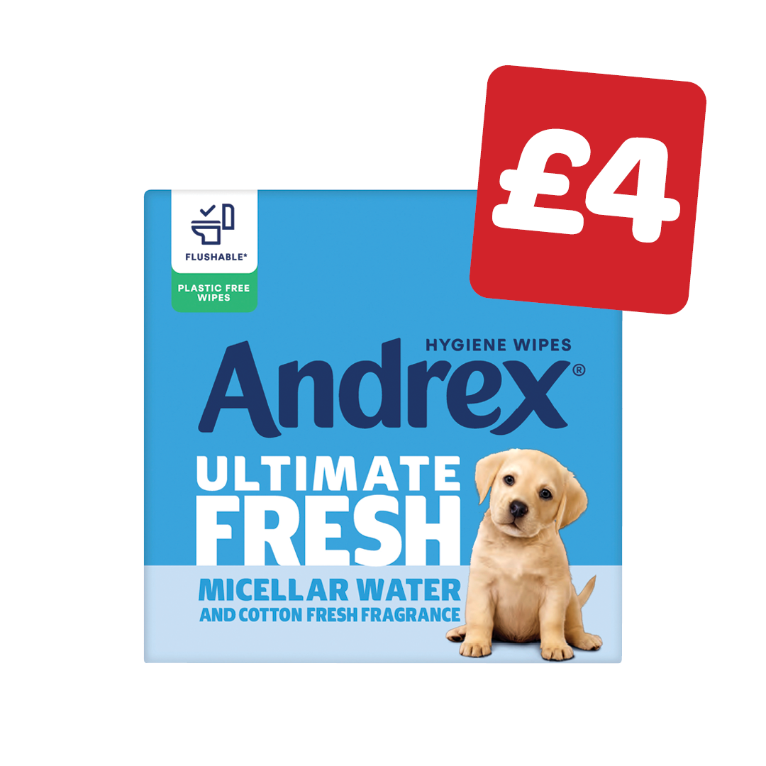 Andrex Washlets