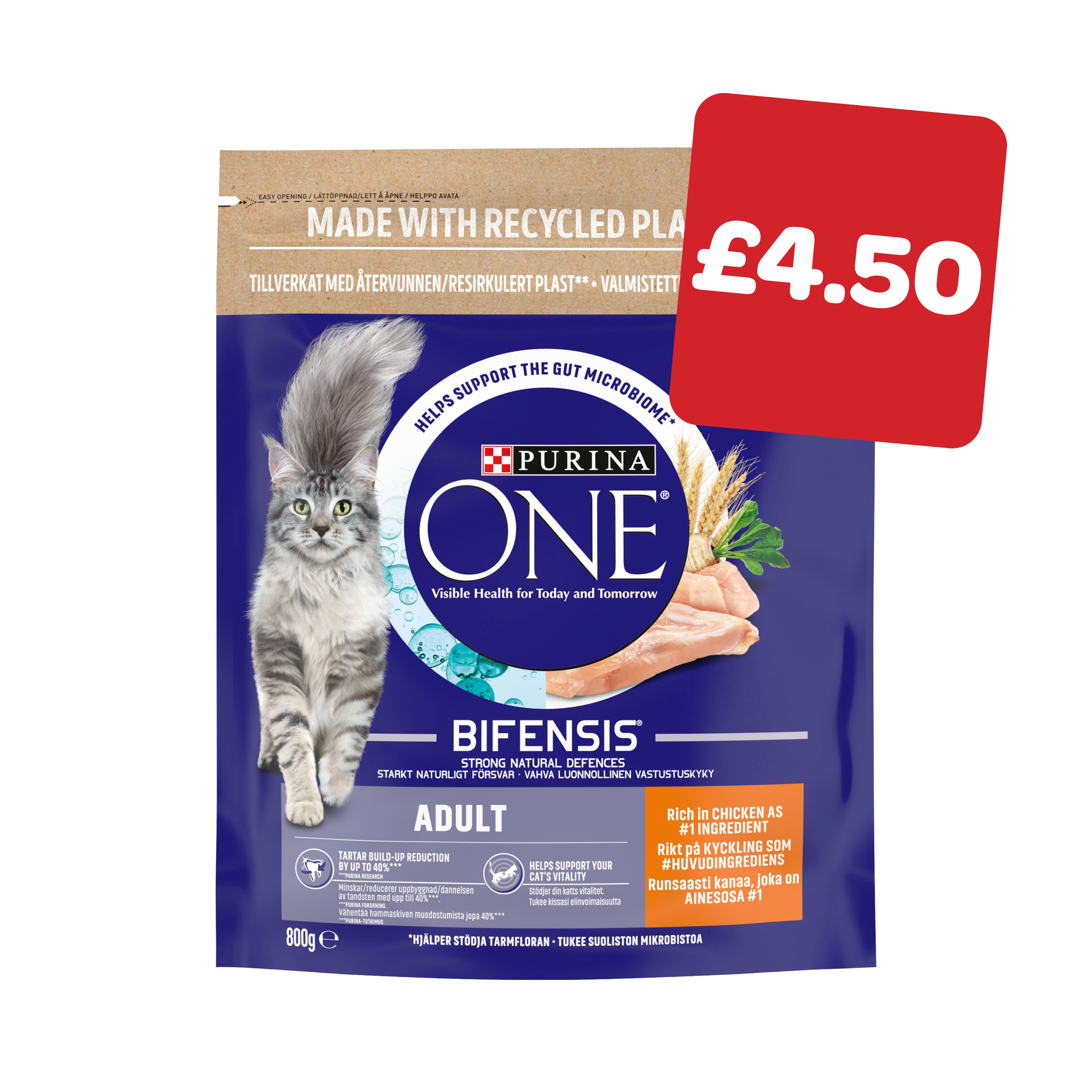 Purina One Cat Food