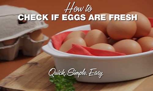 How To Check If Eggs Are Fresh