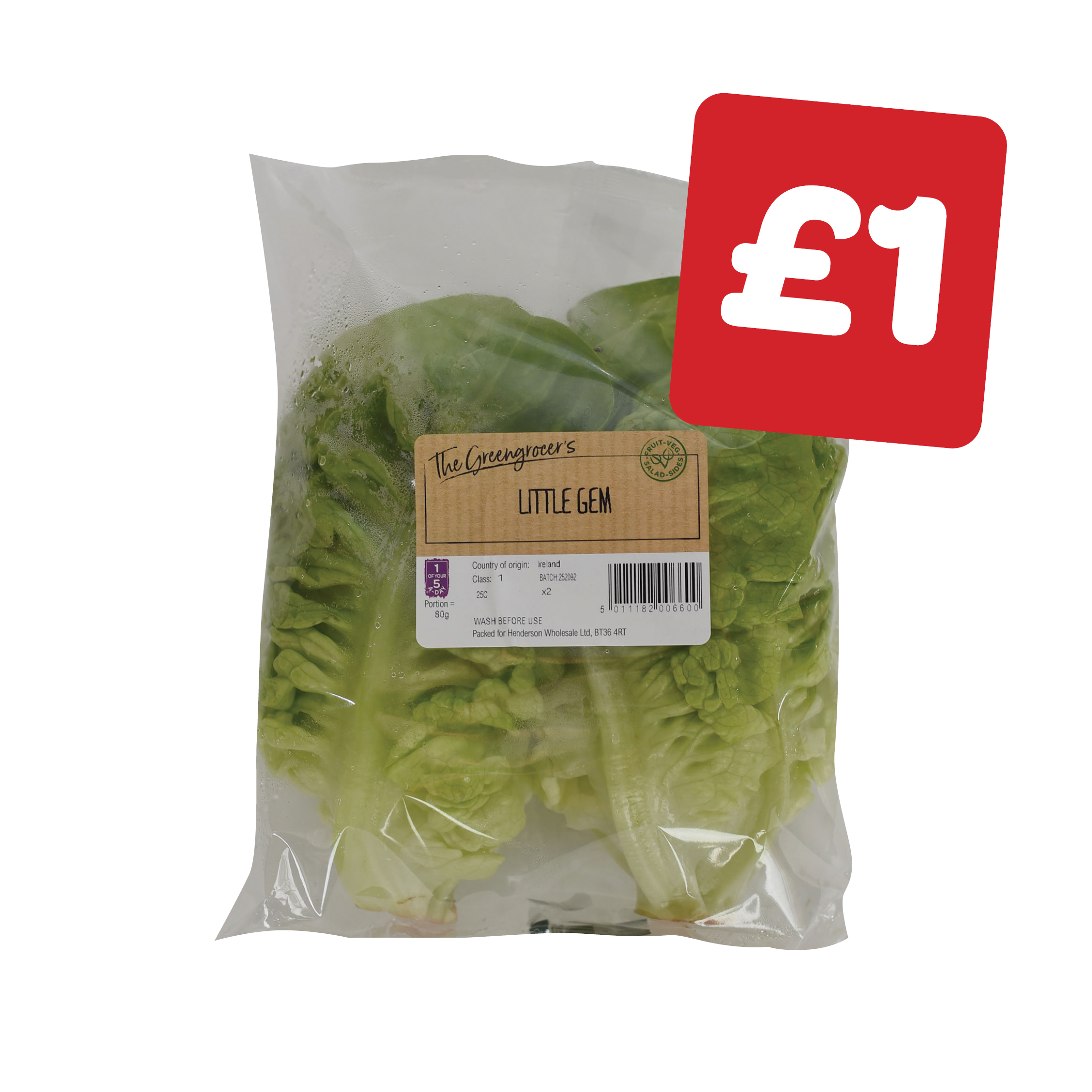 The Greengrocer's Little Gem Lettuce
