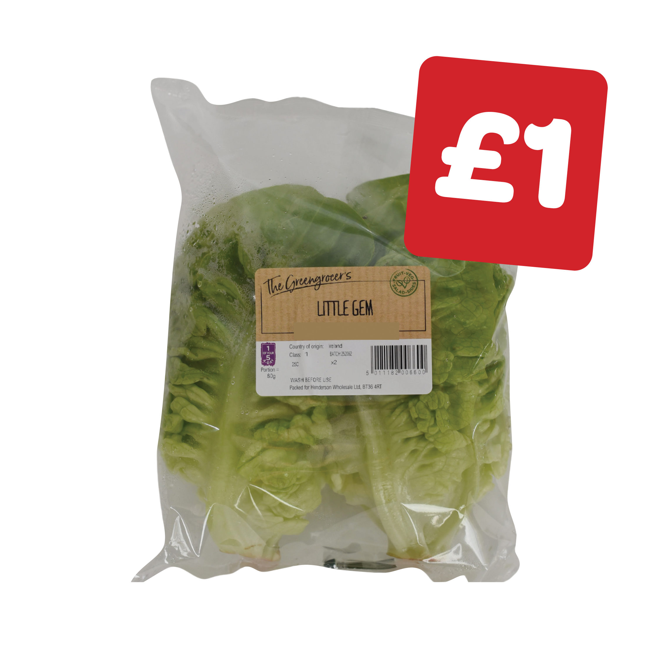 The Greengrocer's Little Gem Lettuce