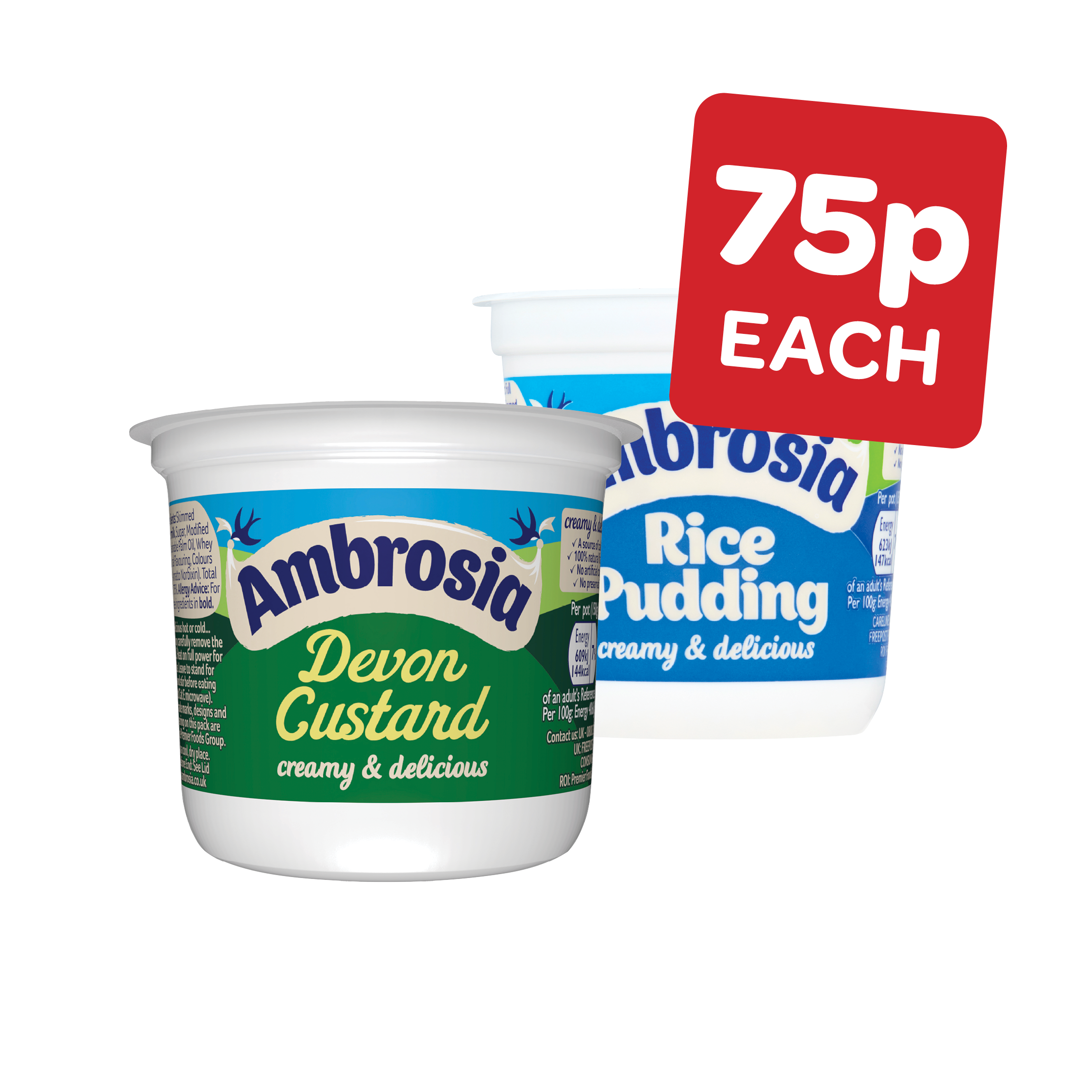 Ambrosia Custard / Rice Pot