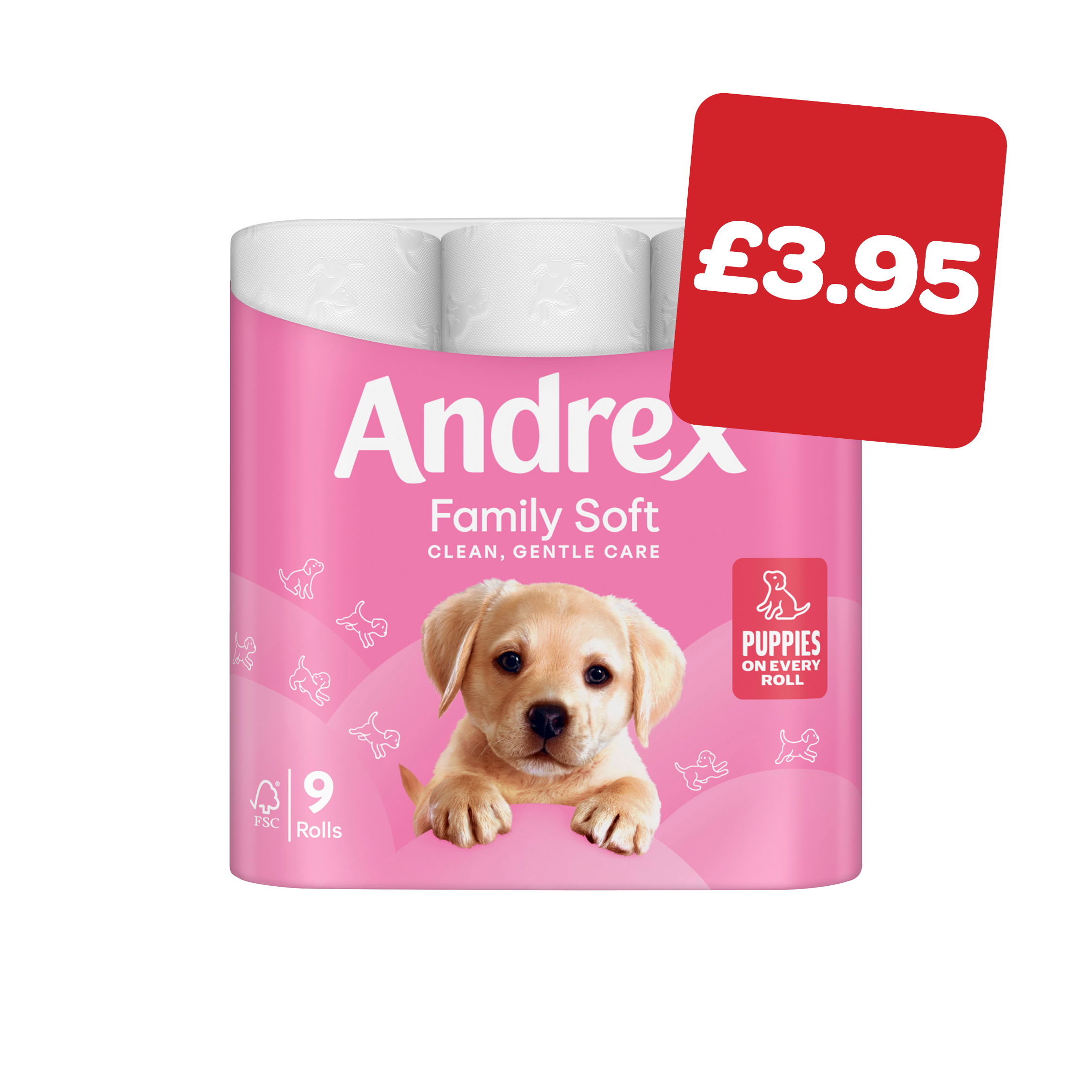 Andrex Family Soft
