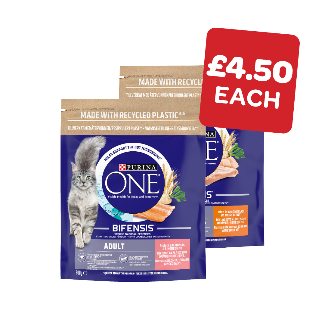 Purina One Cat Food