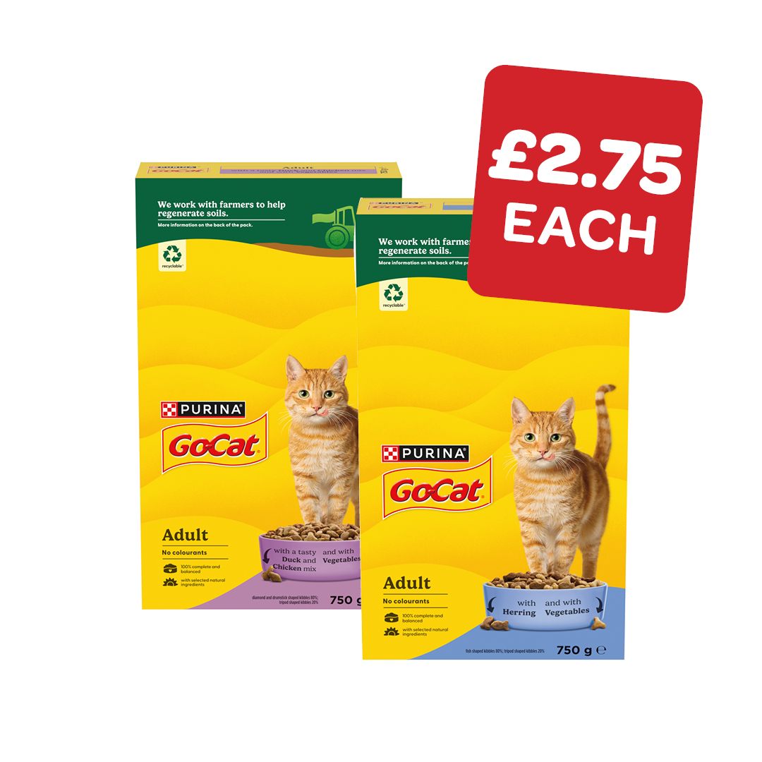 Go Cat Dry Cat Food