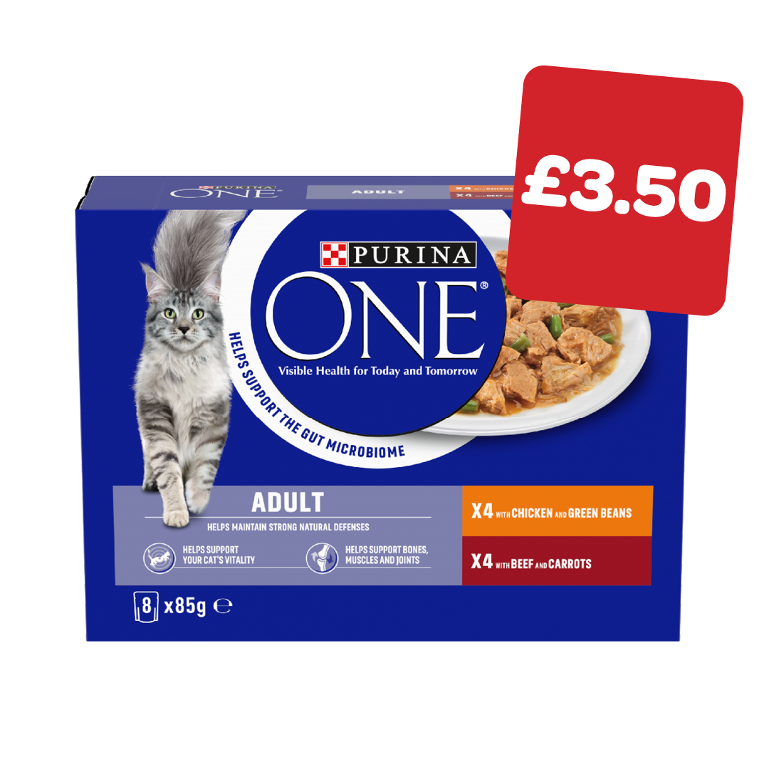 Purina One Cat Pouch