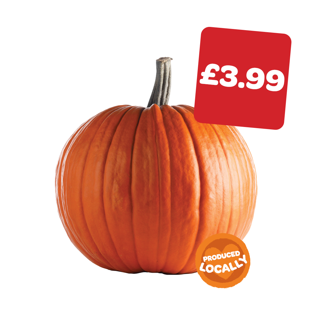 Gilfresh Large Pumpkin
