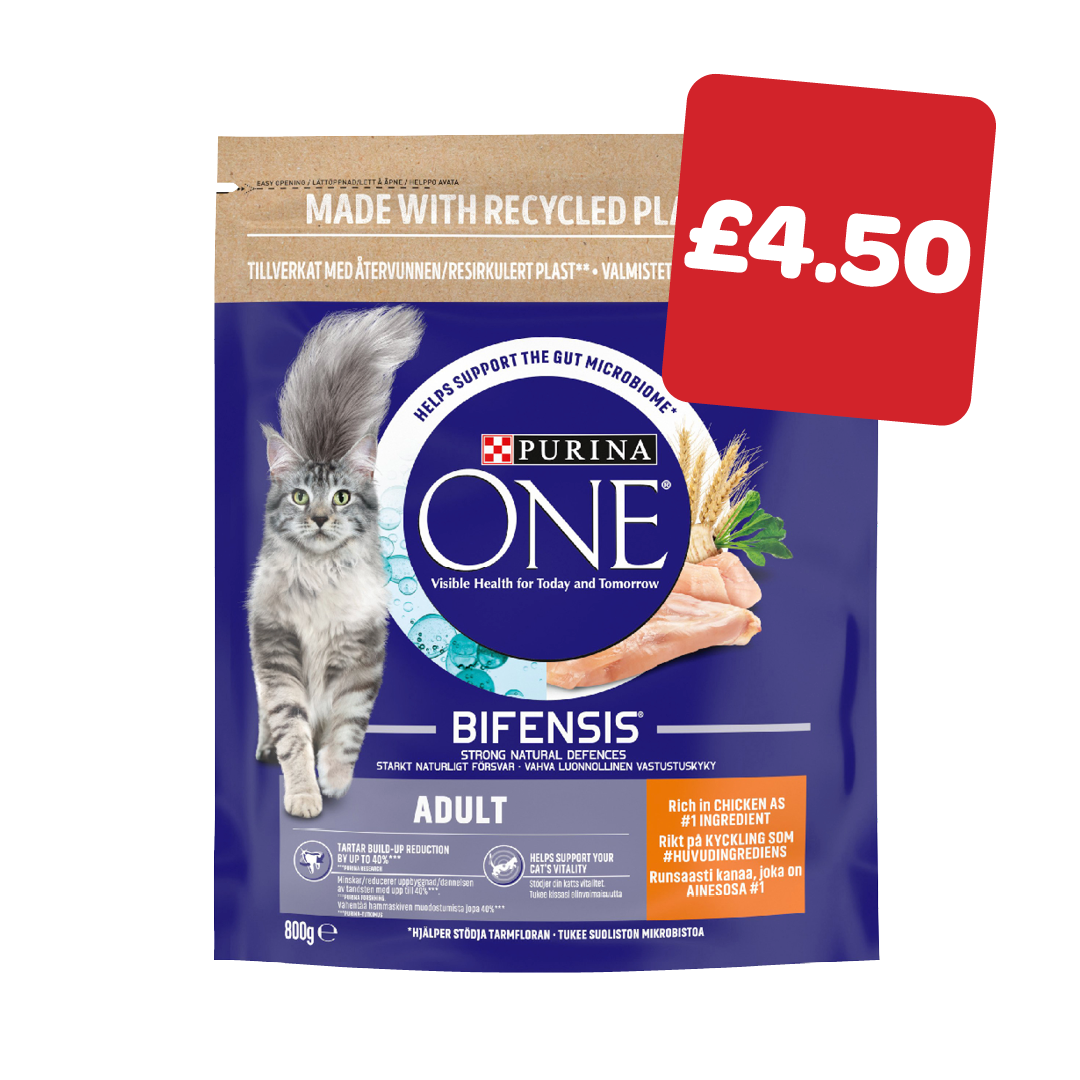 Purina One Dry Cat Food