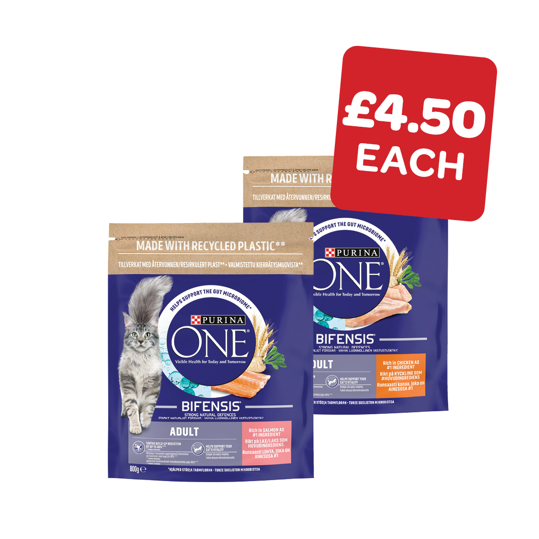 Purina One Dry Cat Food