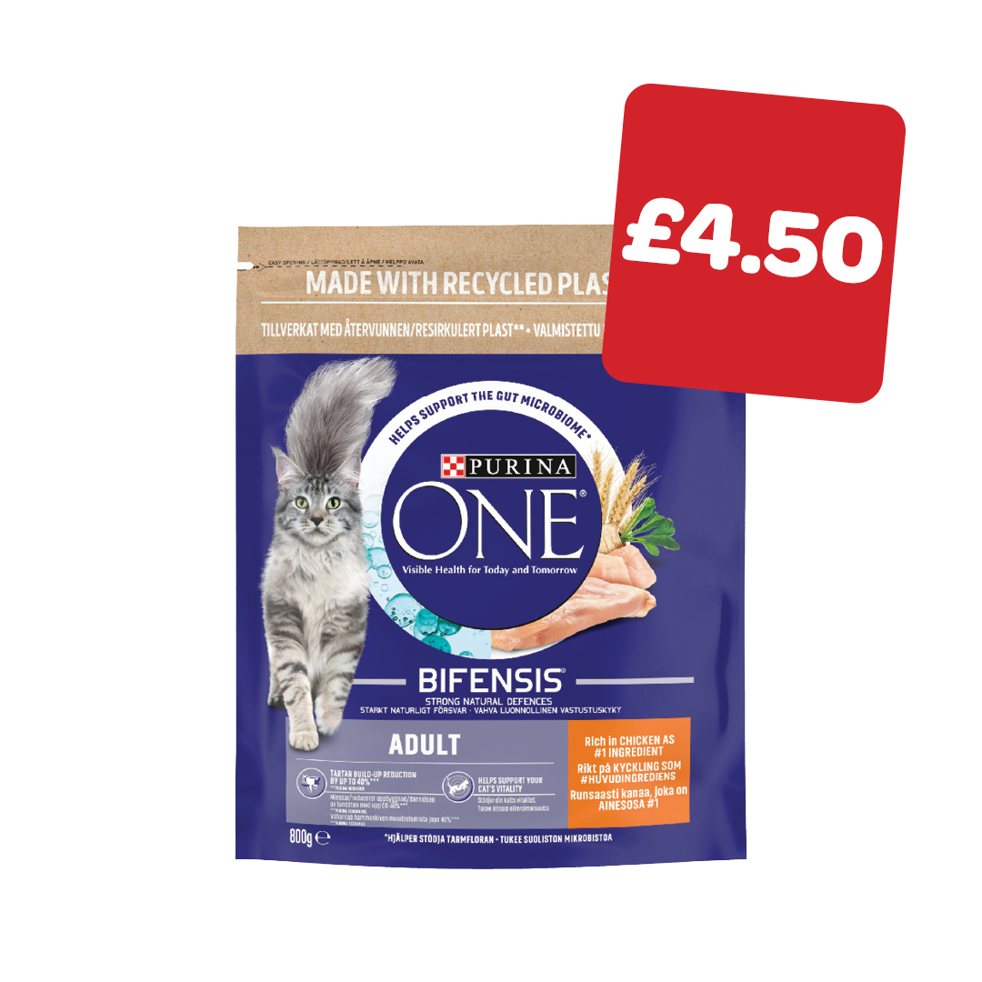 Purina One Cat Food