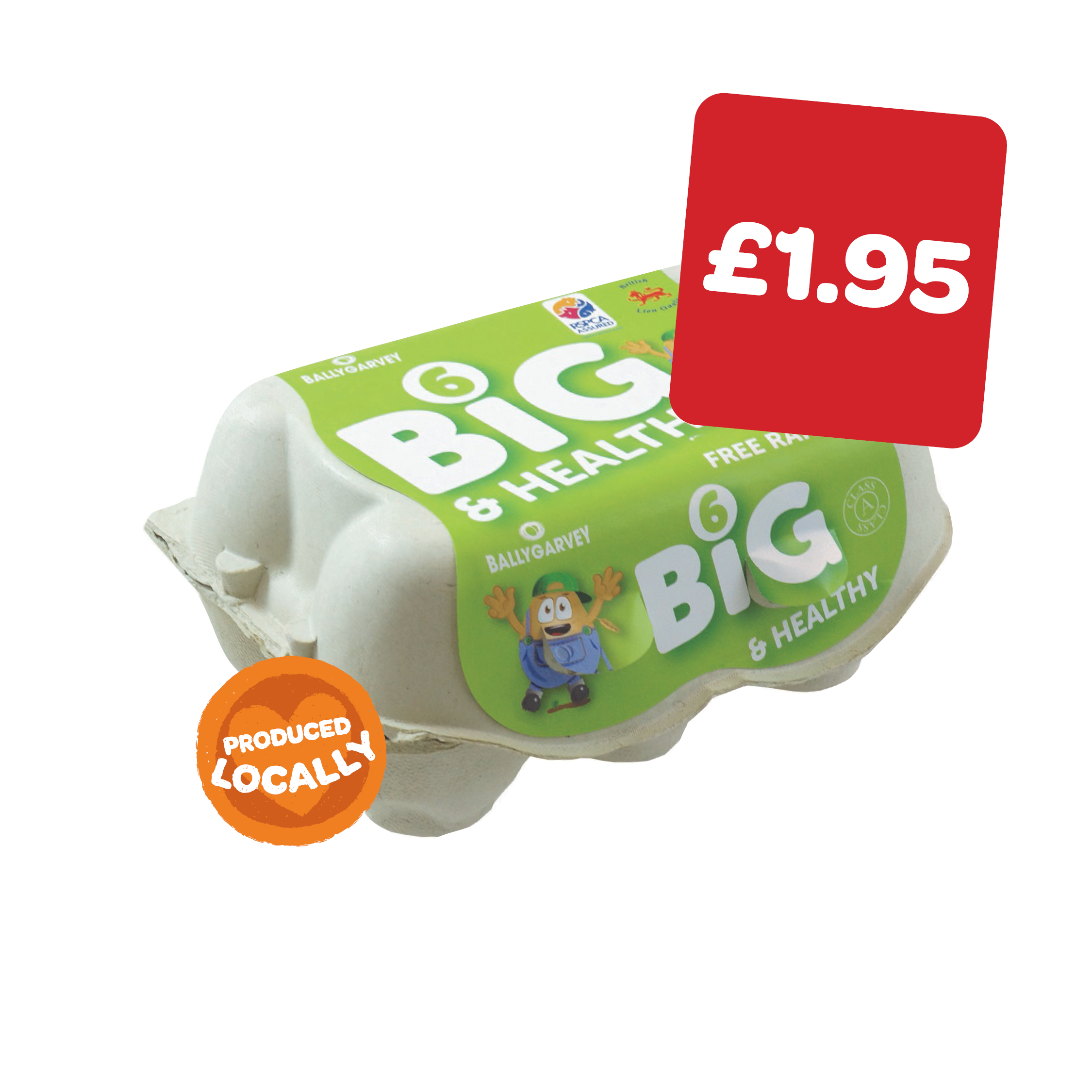 Big & Healthy Free Range Eggs